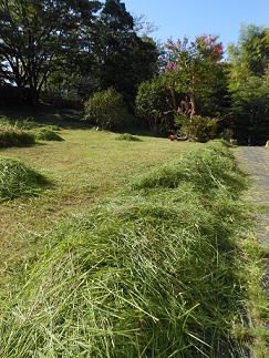 秋の草刈り