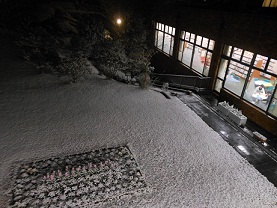 1雪