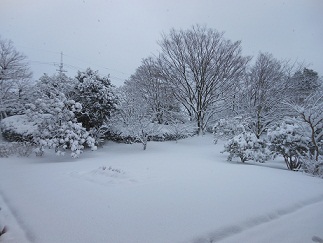 3雪